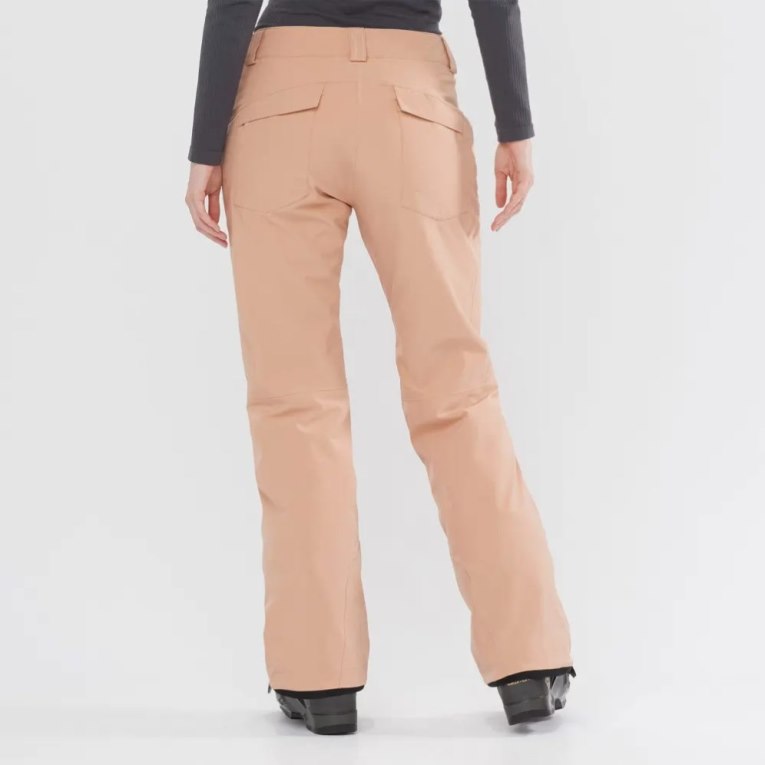 Calça De Esqui Salomon Edge Feminino Abricó | PT V87243